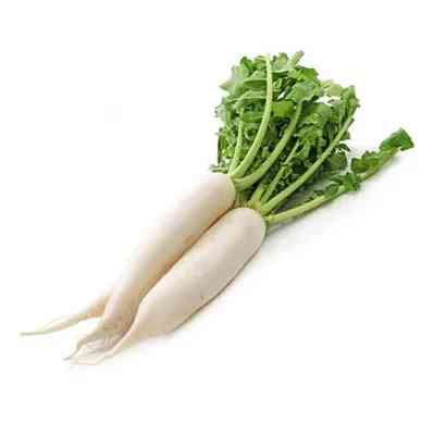 Radish(Mula)
