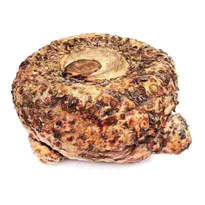 Ol Kochu -  500gm (ওল কচু)